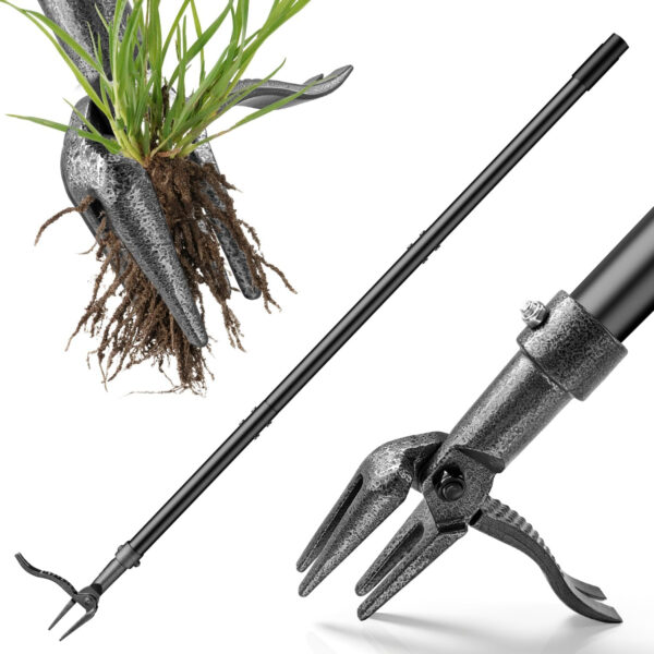69ecdc65c532ed2a93cd7d775ffc2206e1fb06baac6ba38f16b6c.jpg Weed Puller Tool – 45" All-Metal Stand Up Heavy Duty Weeder Hand Tool with 4-Claw Steel Head & Long Handle, Garden Weeding Tool for No Bending or Kneeling, Back & Knee Friendly, Easily Removes Weeds